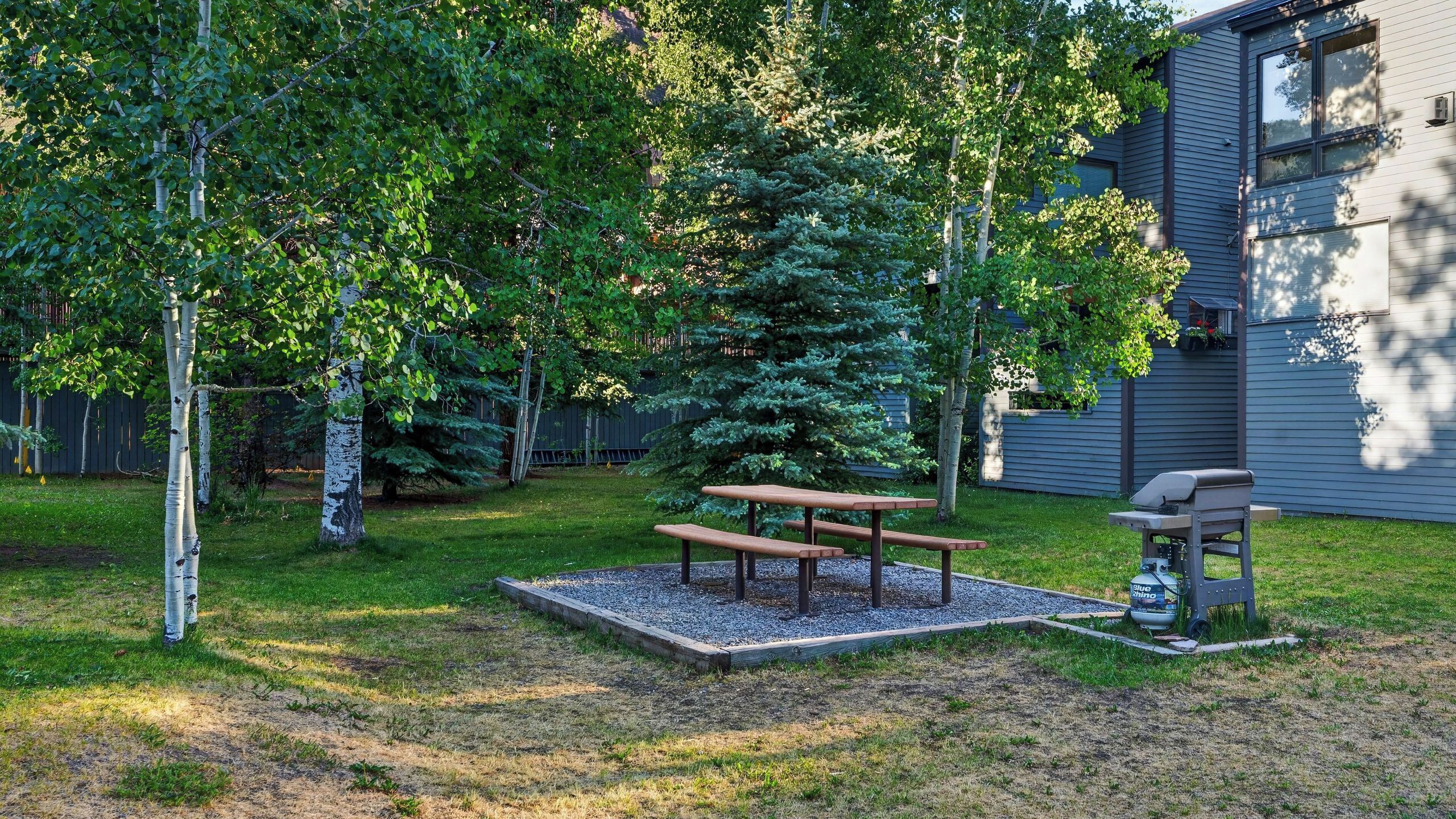 A backyard with a picnic table, a barbecue grill, and a large evergreen tree.