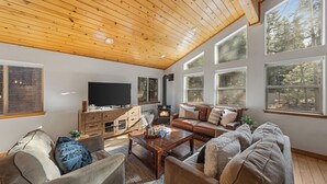 Una sala de estar acogedora con chimenea, televisor y ventanas amplias.