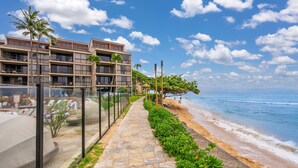 Un hotel frente a la playa con un camino de piedra que conduce a la orilla, palmeras y una vista despejada del océano.