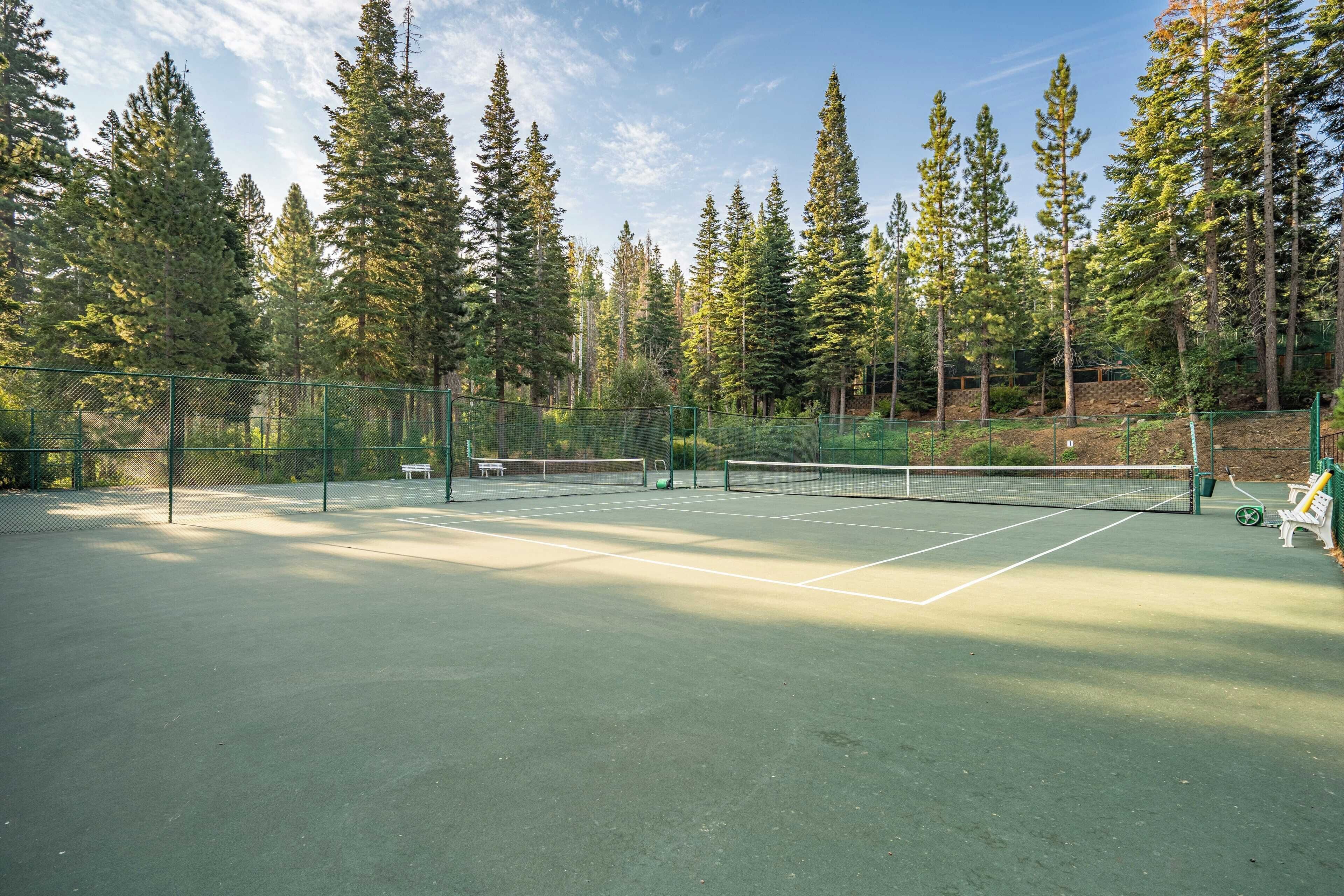 An outdoor tennis court surrounded by tall trees, with a fence and benches.