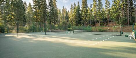 An outdoor tennis court surrounded by tall trees, with a fence and benches.