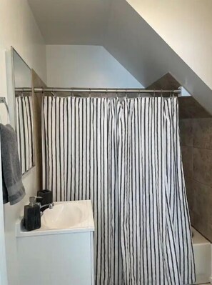 Shower - SugarShack1 (Salt Lake City)