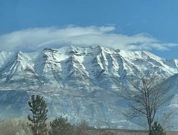 Miscellaneous - SugarShack1 (Salt Lake City)