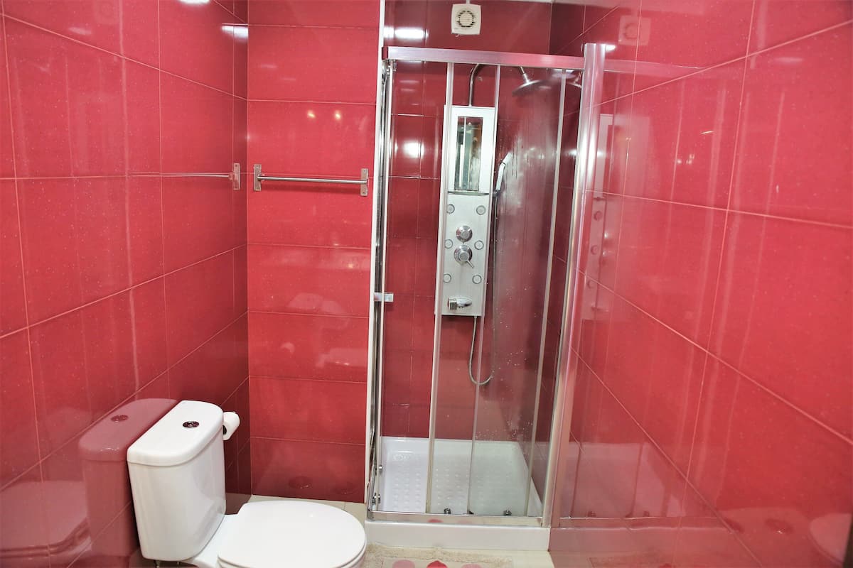 Shower, hydromassage showerhead, hair dryer, bidet