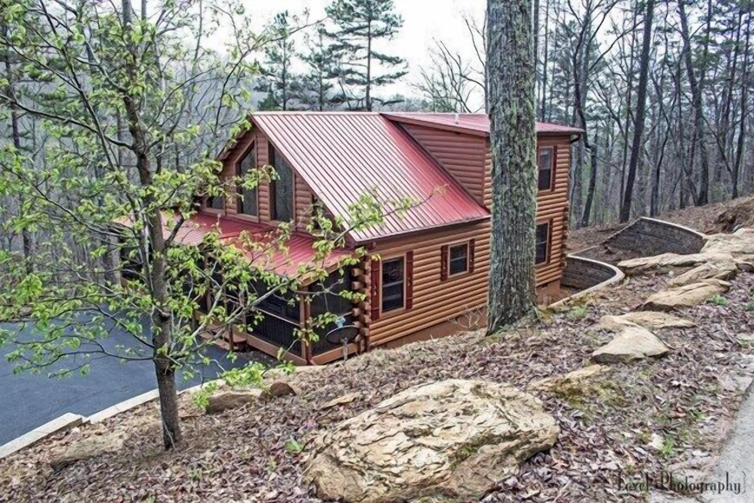 Bear Haven - Adorable cabin in the woods!