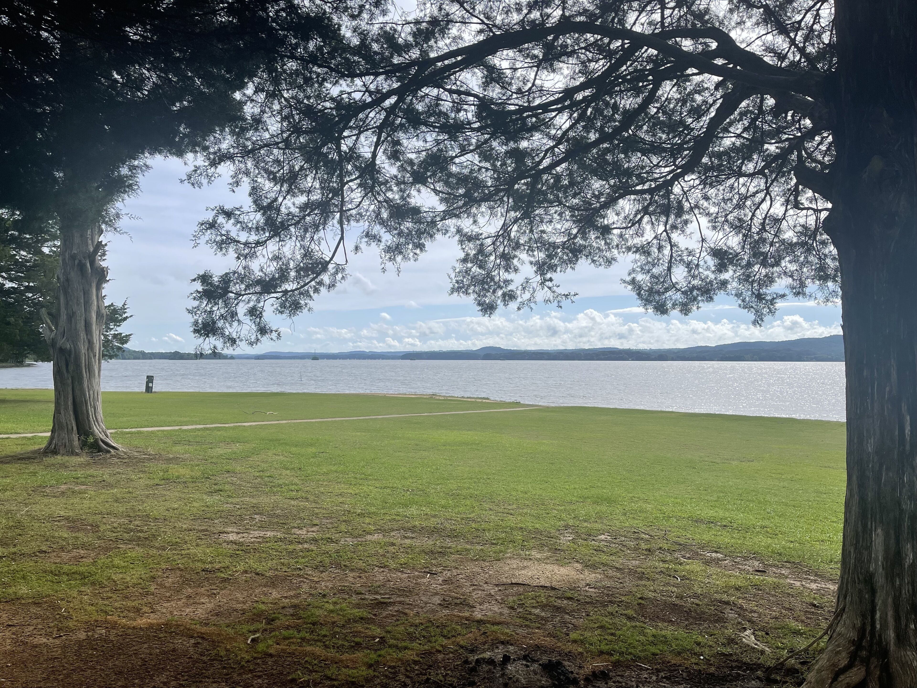 A grassy park area with a path leading to a body of water, surrounded by trees.
