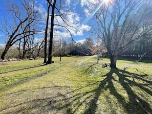 A grassy park with trees and a clear sky. - Almost Heaven - A perfect riverfront getaway in Western NC (Murphy)