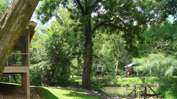 Eine Holzhütte mit einer Terrasse, umgeben von üppigem Grün und einem Teich.