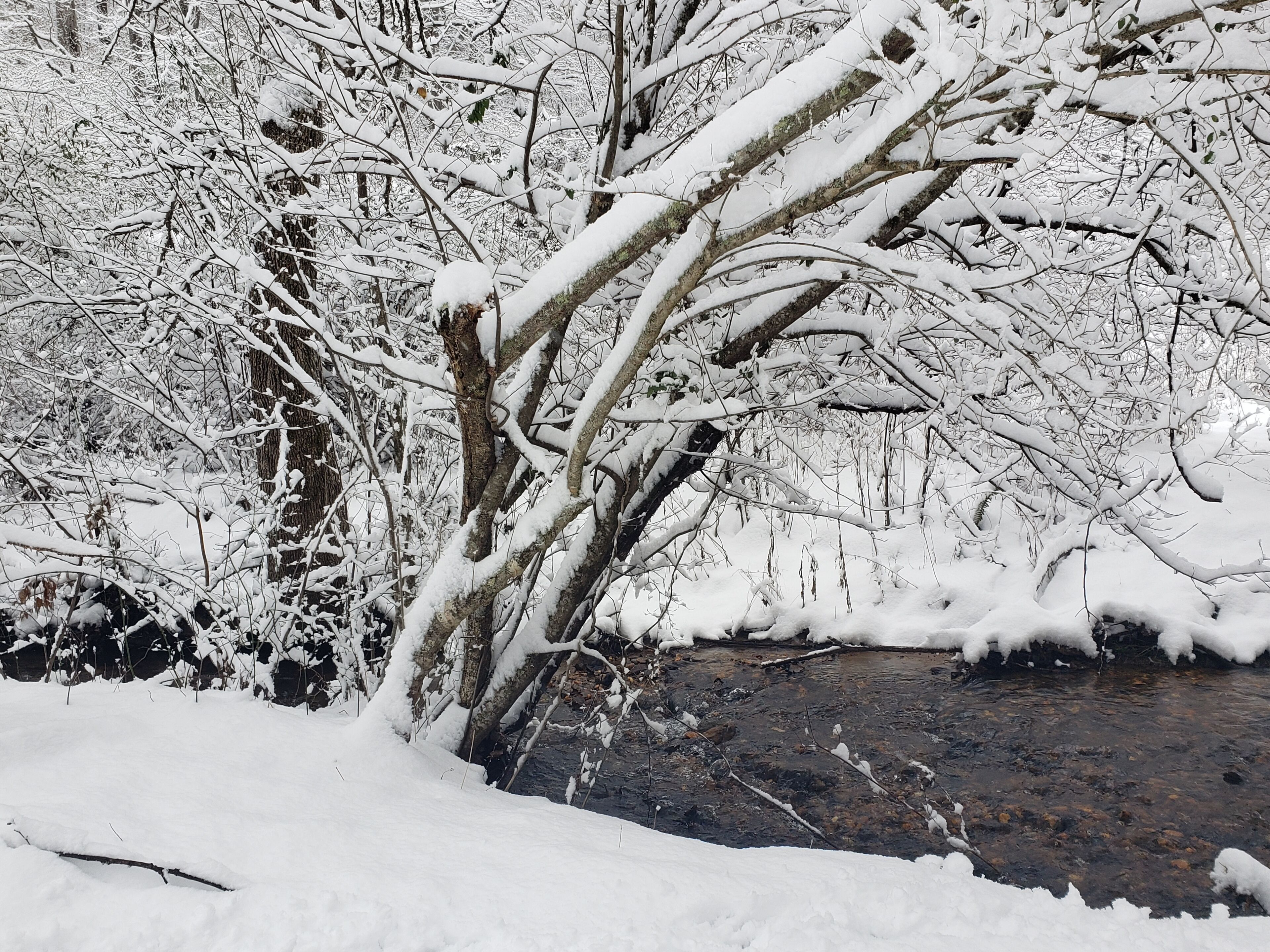 Un paysage enneigé avec un ruisseau, des arbres et une zone rocheuse.