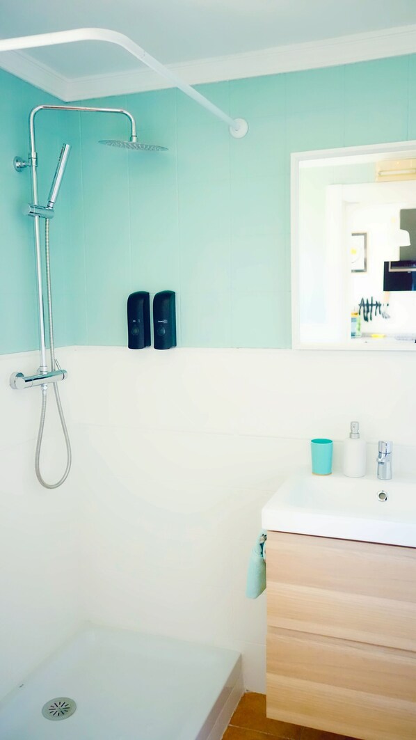 A bathroom with a shower, a sink, and a mirror.