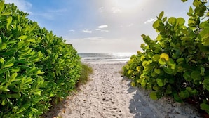 Un sendero arenoso que conduce a la playa, bordeado de exuberante follaje verde.