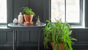 Una habitación con una silla de madera oscura, una pequeña mesa redonda con plantas en macetas y un cuadro en la pared.