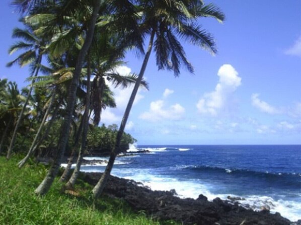 Strand