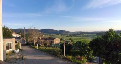 Beautiful apartment overlooking the vineyards