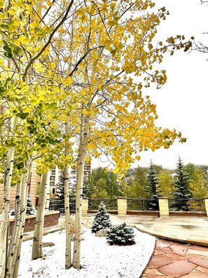 Surrounded by serene birch and evergreen trees, this peaceful retreat offers a tranquil escape.