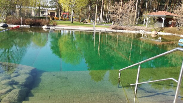 Una piscina trasparente con rocce visibili sotto la superficie, circondata da alberi e un gazebo.