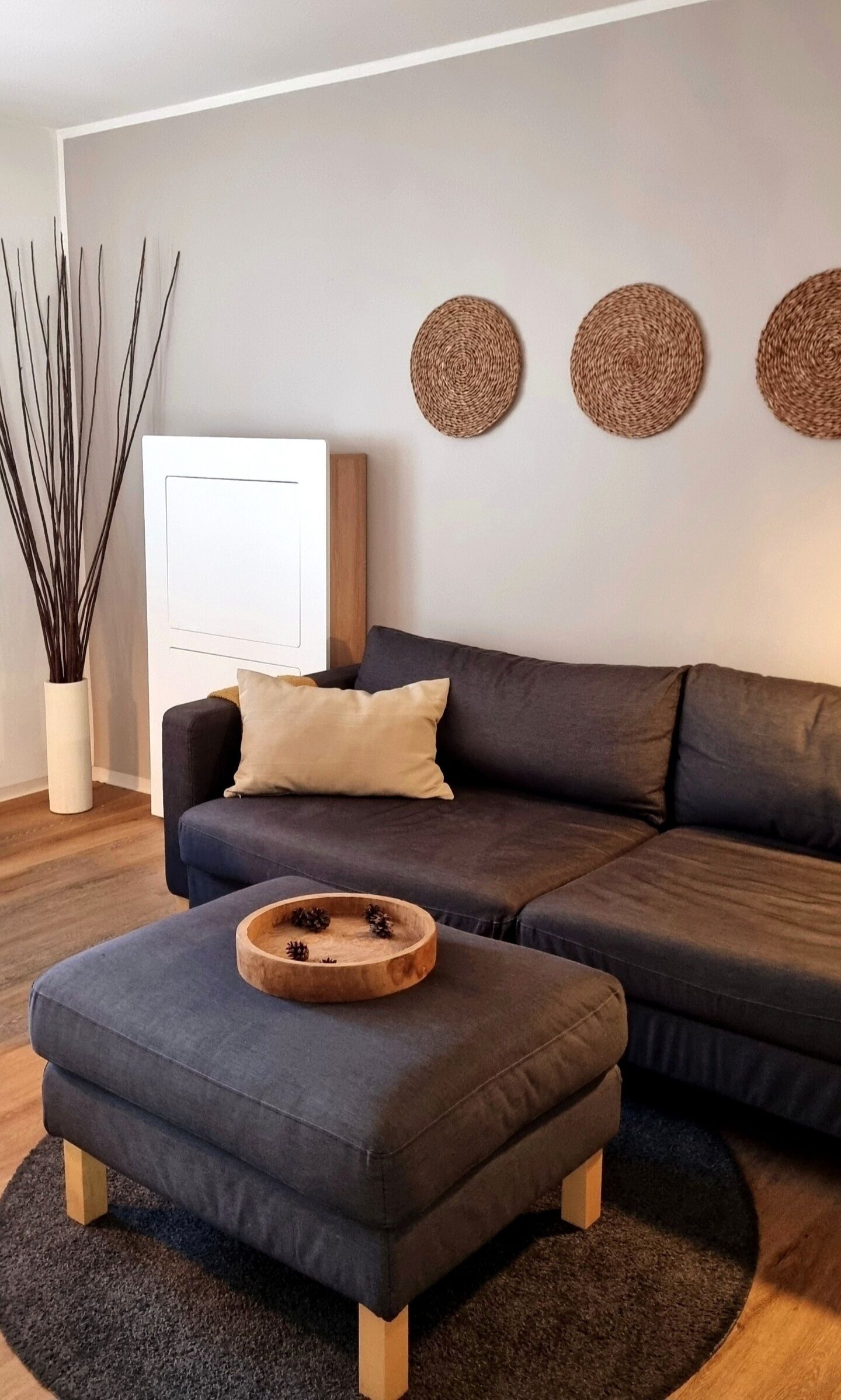 Una Smart TV, una chimenea