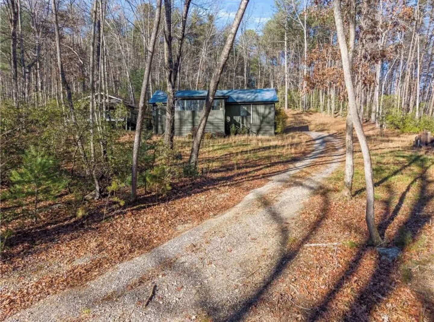 A cabin in a forest with a dirt path leading to it.
