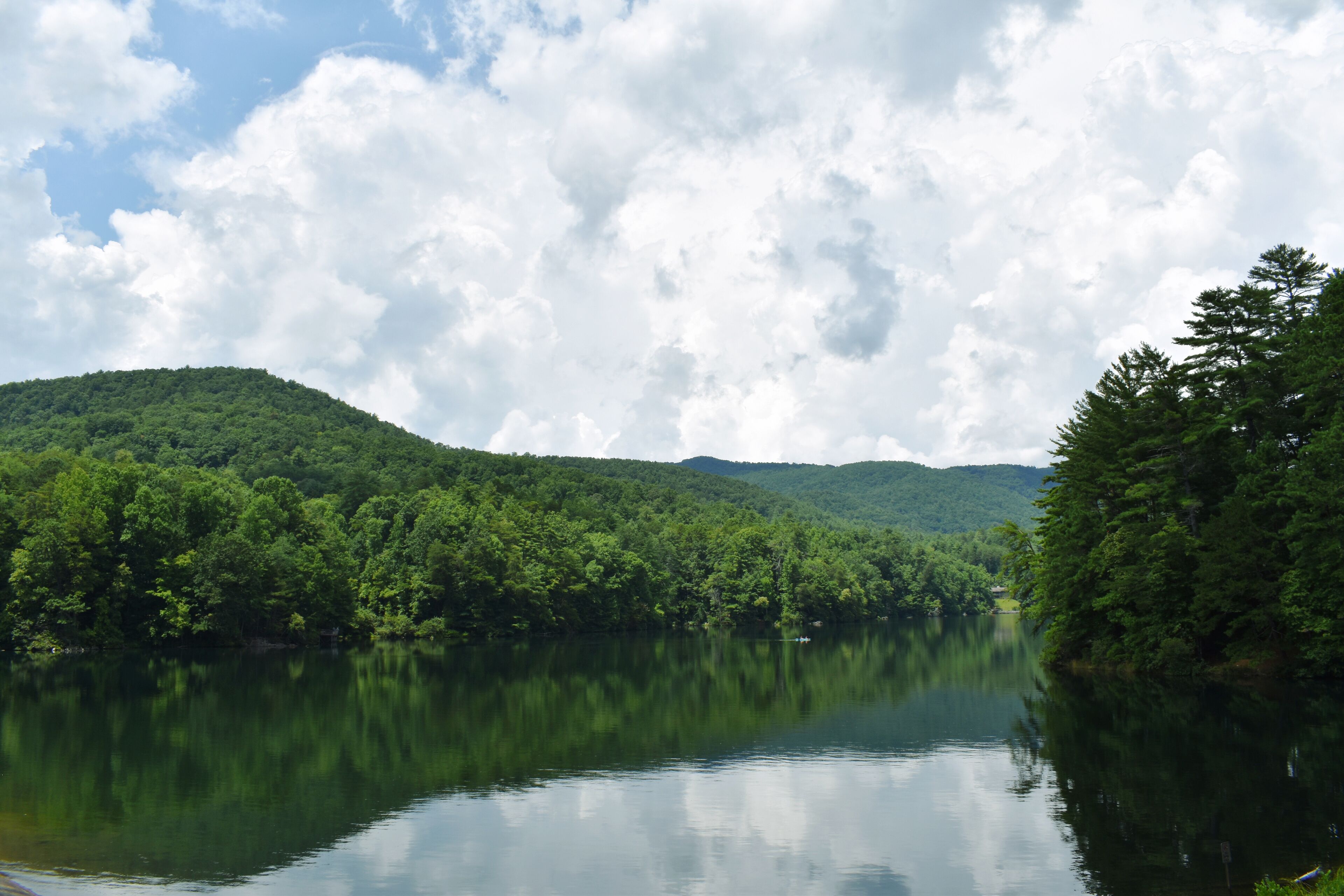 Un lago tranquillo circondato da una fitta foresta e colline.