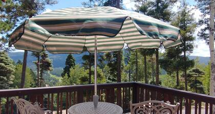 Cozy Mountain Chalet with Incredible Views!