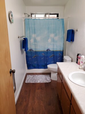 Combined shower/bathtub, hair dryer, towels, soap