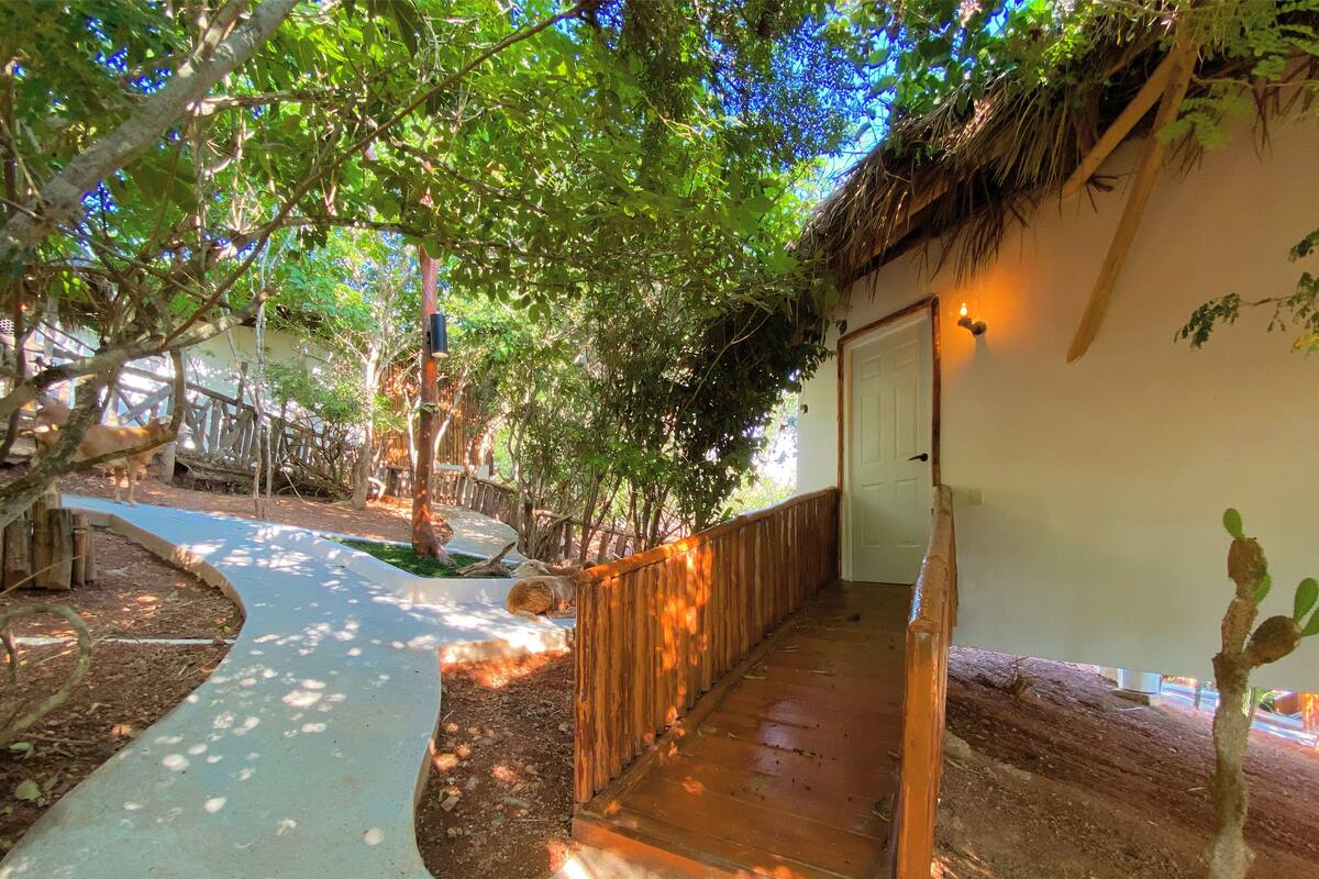A pathway leading to a wooden door, surrounded by trees and a thatched roof structure.