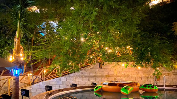 Un área de piscina con un muro de piedra, sillas de descanso y una palmera.
