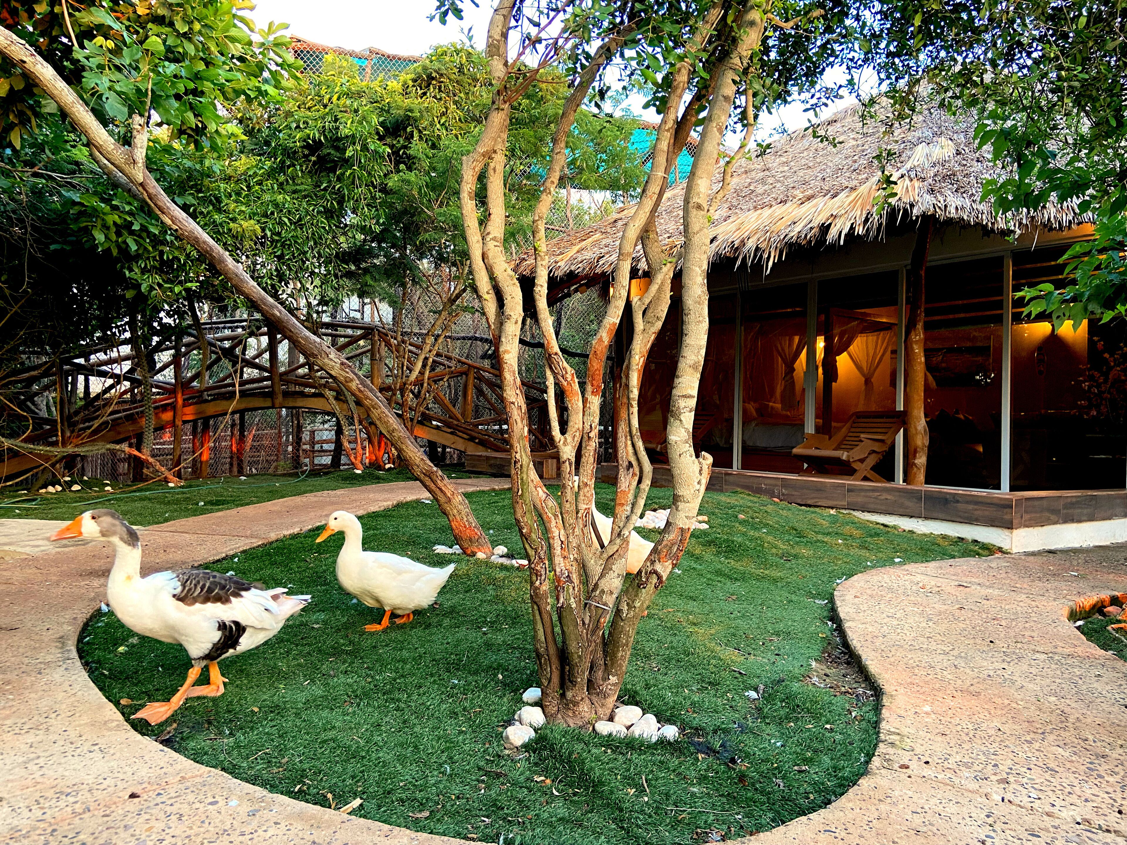 A tree with several eggs, a thatched-roof structure, and a pathway.