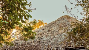 Estructura de techo de paja con cama y zona de estar, rodeada de vegetación.