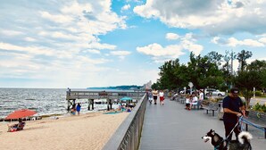 Un muelle con pasarela de madera, una playa arenosa y un perro con correa.