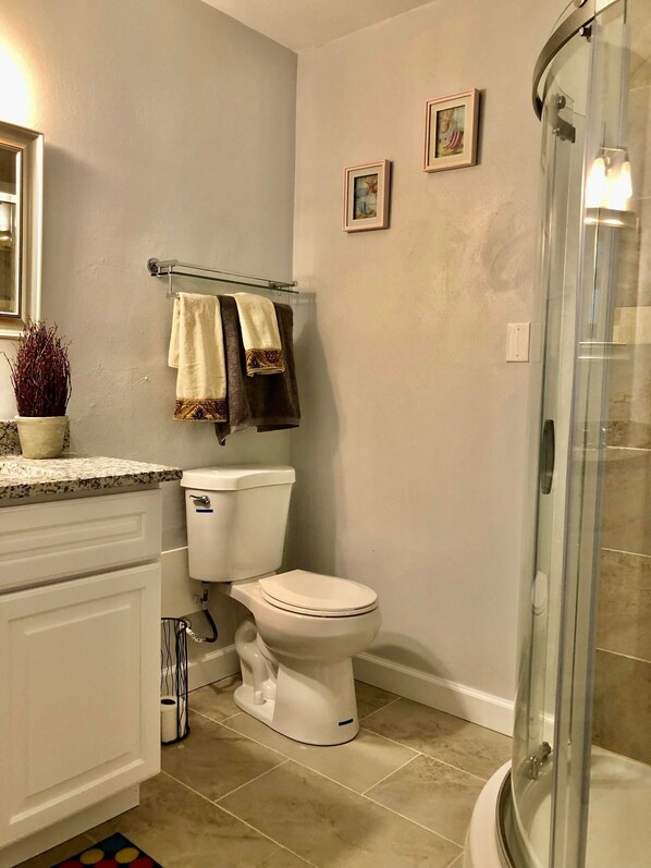 A bathroom with a toilet, a glass shower enclosure, and a sink with a countertop. - Convenient Beach Home, Beach Access Across Street (Norfolk)