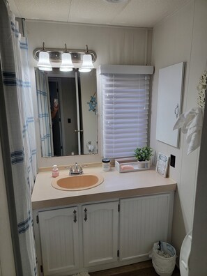 A bathroom with a sink, mirror, and two overhead lights. There is a window with blinds, a towel rack, and a small plant on the counter.