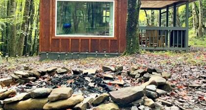 Private Tiny Cabin/Mountain Hiking/National Forest!
