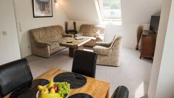 Fernseher, Stereoanlage