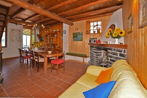 Televisie, een open haard en een tafeltennistafel