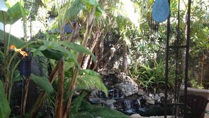 A garden with a small waterfall, rocks, and lush greenery. - Shared Home (Inglewood)