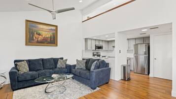 智能电视、壁炉