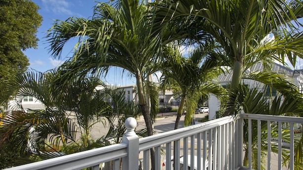 A balcony with white railings, palm trees, and a view of a street with parked cars and buildings.