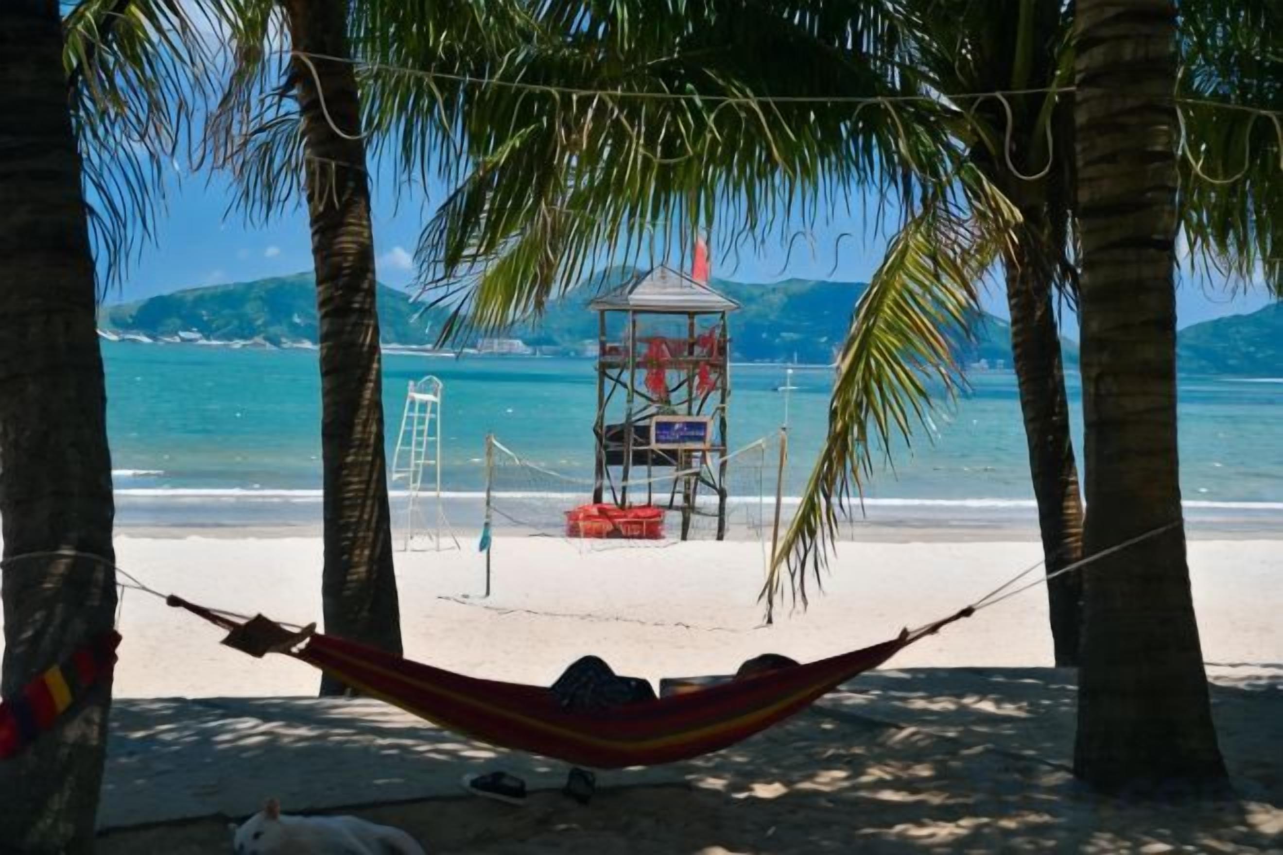 A hammock under palm trees on a beach with a lifeguard tower in the background.