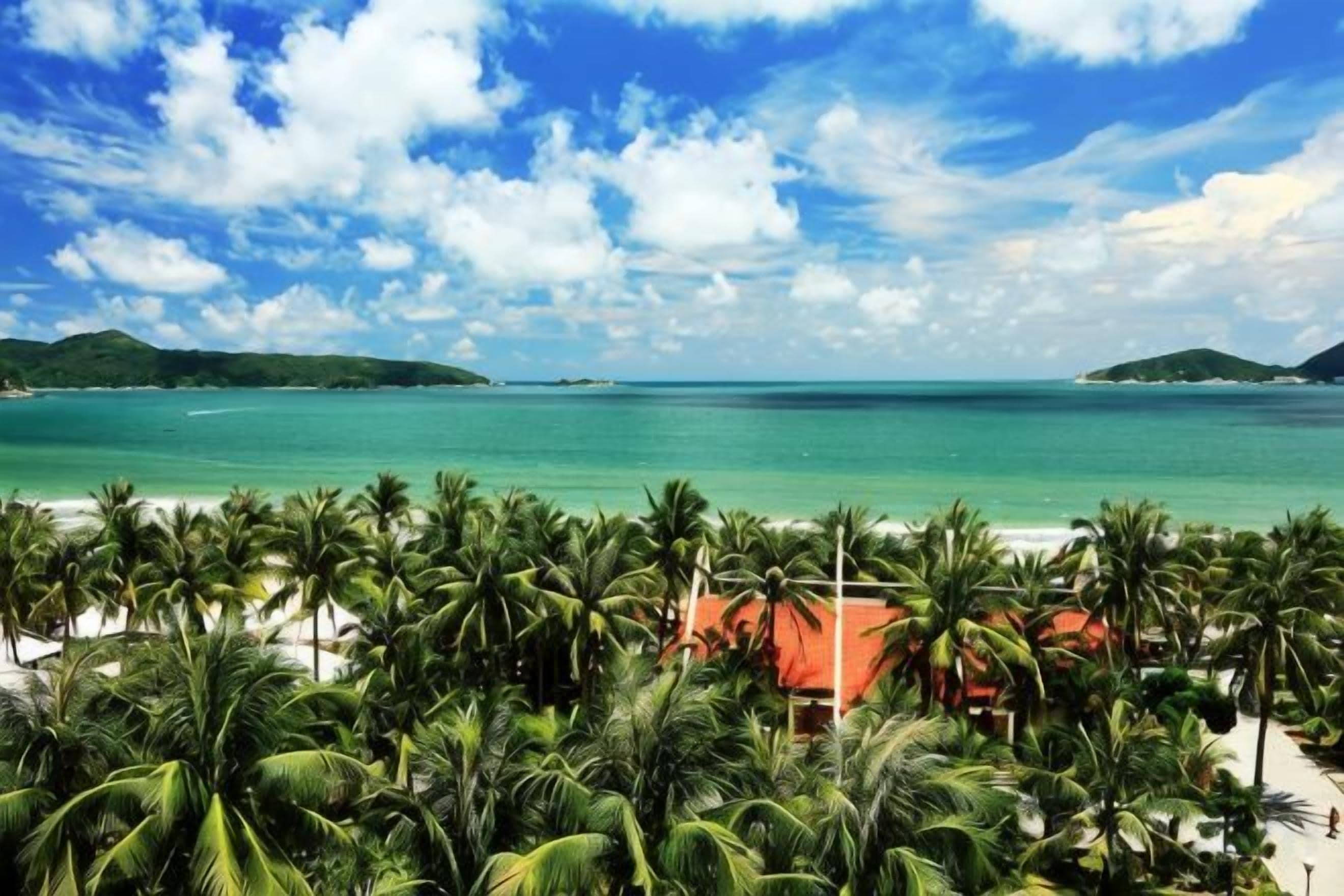 A beach with palm trees and a clear sky.