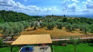 A villa with a thatched-roof patio, olive trees, and a view of distant hills. - Casa Lionardo - House with private pool (Vinci)