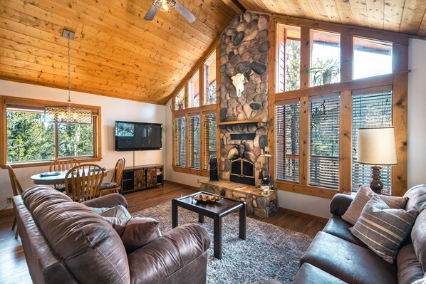 Smart TV, fireplace, books, stereo