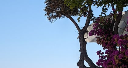 Beautiful charming flat, beautiful terrace facing the sea. Exceptional location