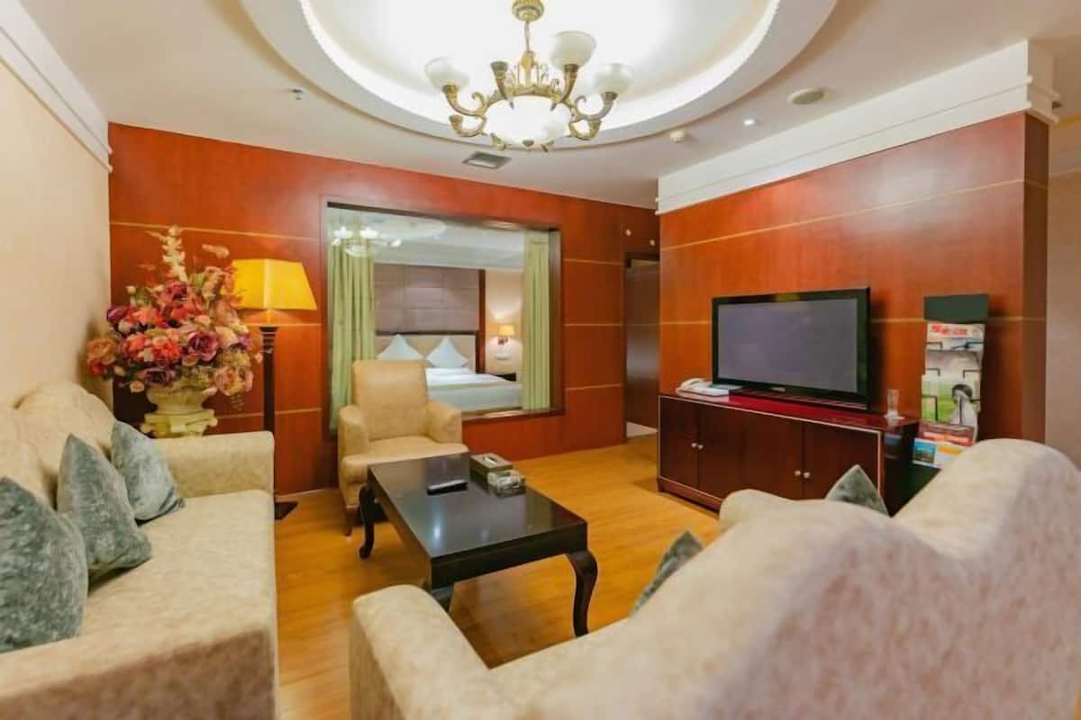 Une chambre d’hôtel équipée d’un canapé, d’un fauteuil, d’une table basse, d’une télévision et d’un vase décoratif.