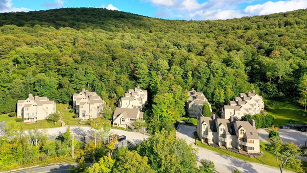 Zona residencial con varias casas, rodeada de un bosque denso y una colina al fondo.