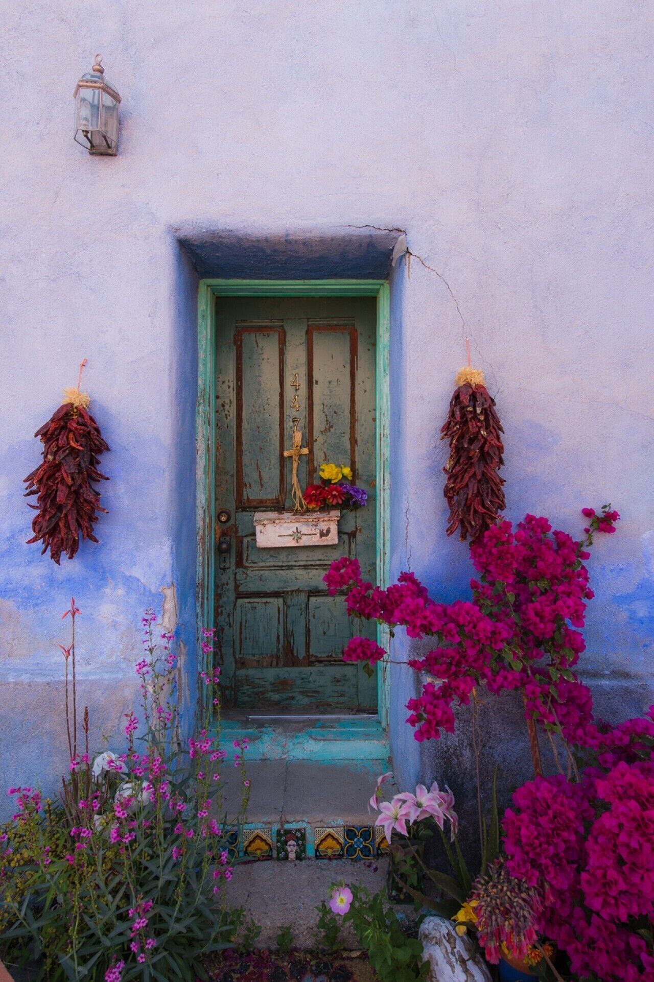 Une porte bleue, patinée par les intempéries, avec un cadre vert, une petite lanterne blanche au-dessus, et des fleurs séchées ainsi que des bougainvilliers d’un rose éclatant devant.