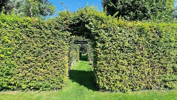 Área da propriedade