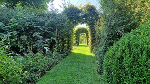Ein Gartenweg mit einem zentralen Bogen, umgeben von üppigem Grün.
