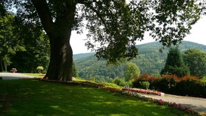 A lush green landscape with a large tree, a flower bed, and a road leading to a building. - Perfect Holiday Home in Trou de Bra with private garden and mountain views (Trou de bra)