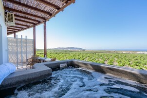 Villa clásica | Terraza o patio